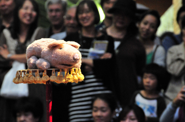 Mr. Jones and Fred the Amazing Stunt Pig